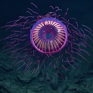 Meet your Posher, Dan and